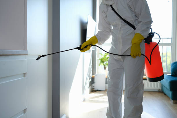 Best Fast Mold Removal  in Lincoln, ND